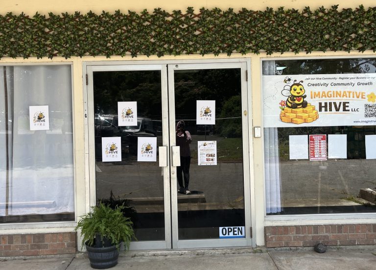 5 Hive LLC